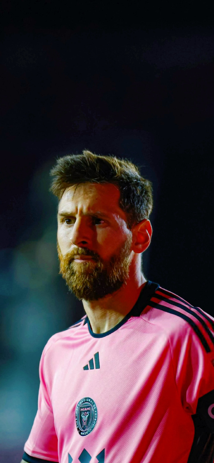 了自己在积 了自己在积